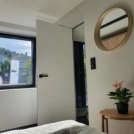 Apartment Newly Renovated And Stylish